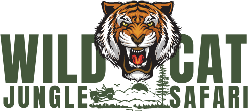 Tadoba Jungle Book Safari