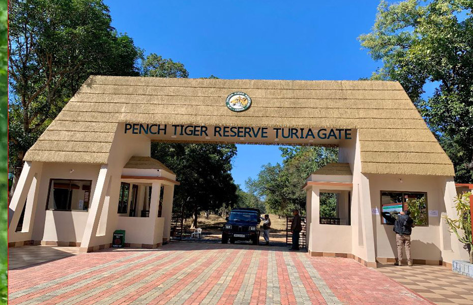 Pench National Park